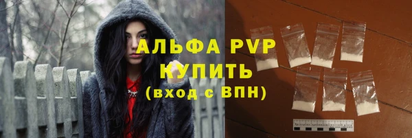 крисы Аркадак