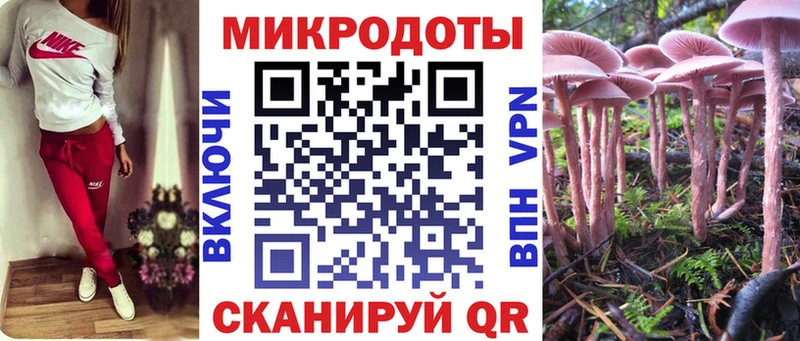 Галлюциногенные грибы Psilocybe  даркнет сайт  Партизанск 
